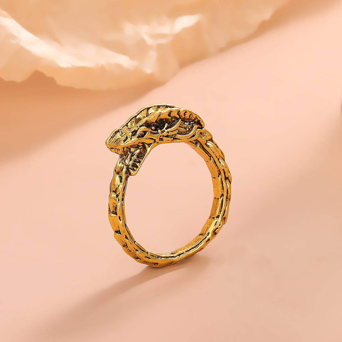 Retro New Style Creative Ouroboros Shape Alloy Ring display picture 2