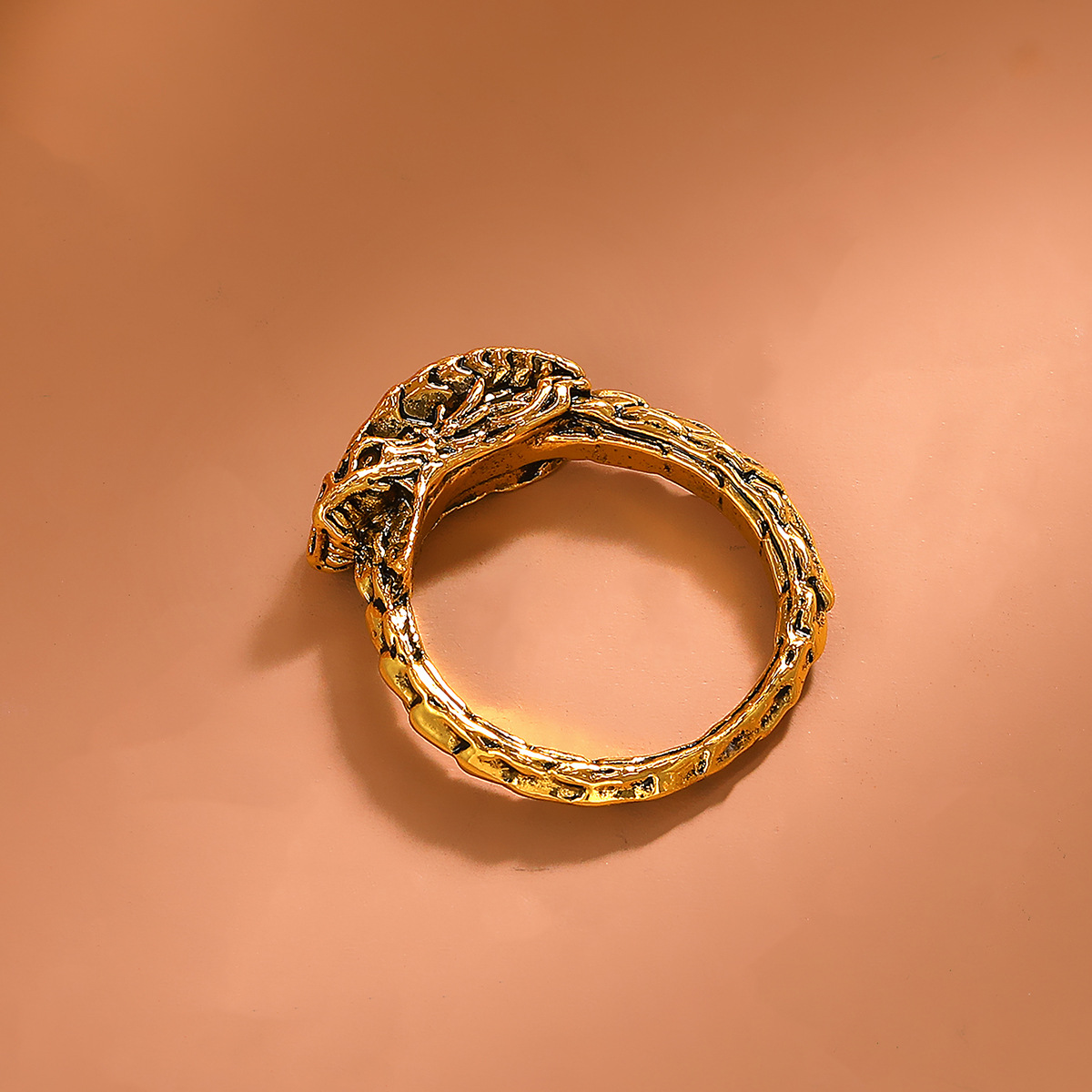 Retro New Style Creative Ouroboros Shape Alloy Ring display picture 4