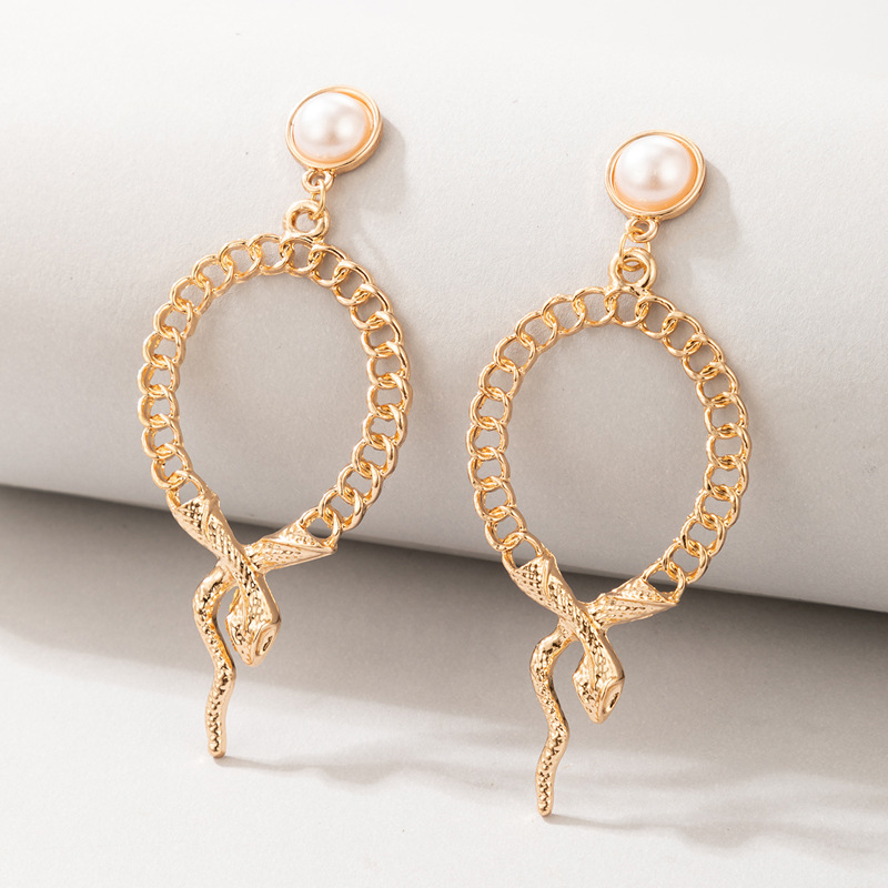 New Fashion Simple Geometric Snake Element Alloy Earrings display picture 1