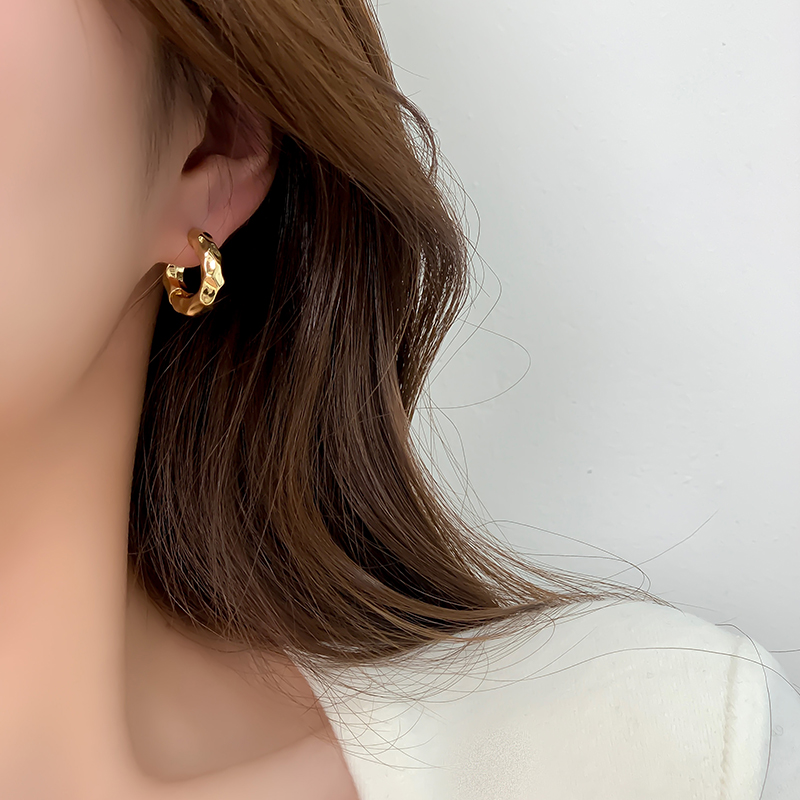 Korean Style Circle Alloy No Inlaid Earrings display picture 8