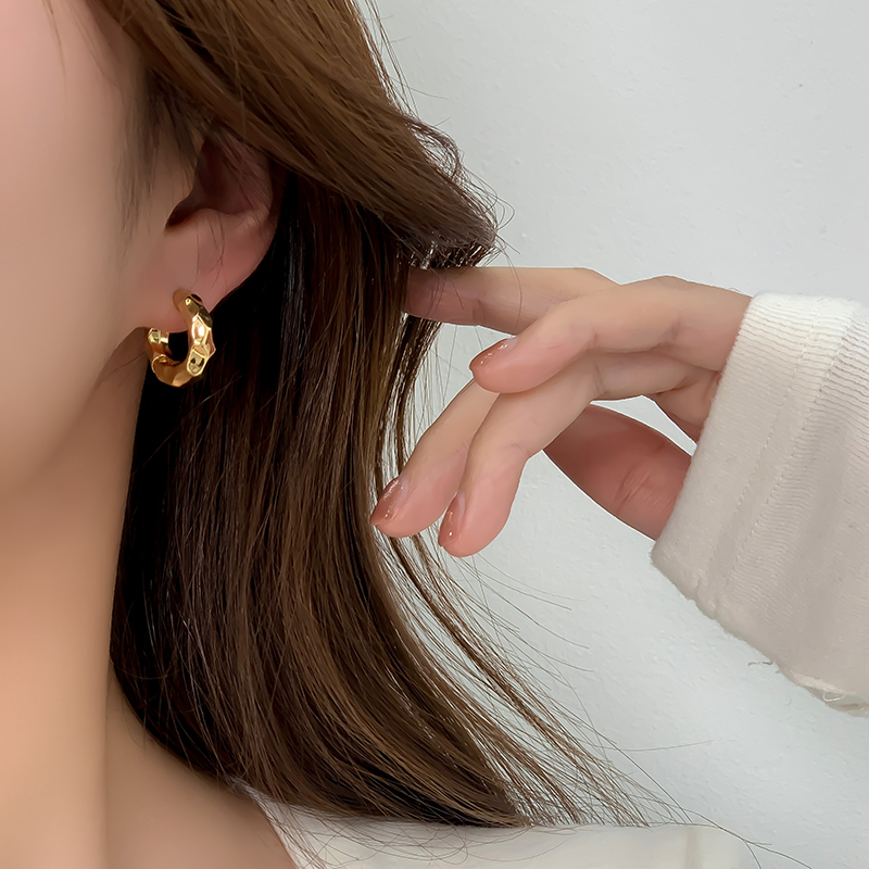 Korean Style Circle Alloy No Inlaid Earrings display picture 7