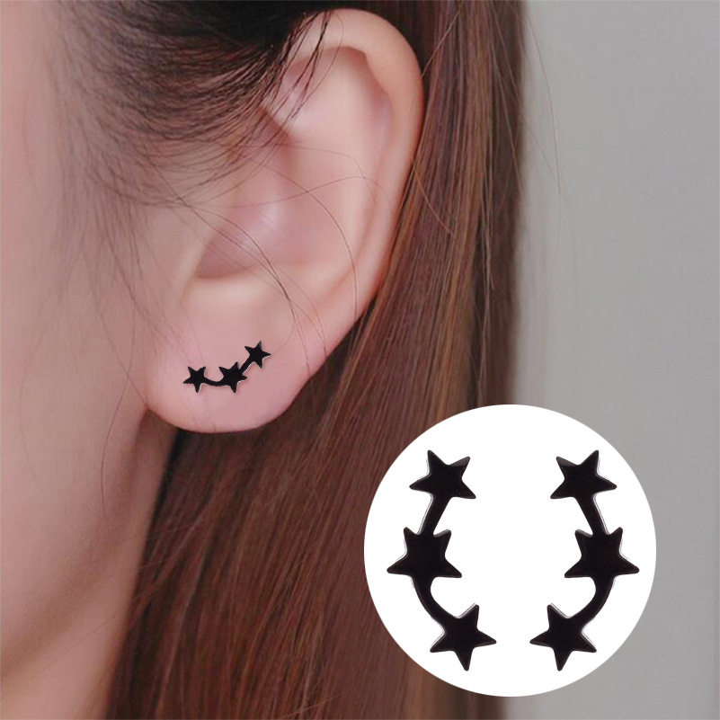 Women's Simple Style Korean Style Star Stainless Steel No Inlaid Ear Studs Stainless Steel Earrings display picture 4