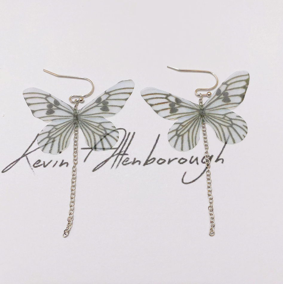 Fashion Butterfly Sterling Silver Earrings 925 Silver Earrings display picture 1