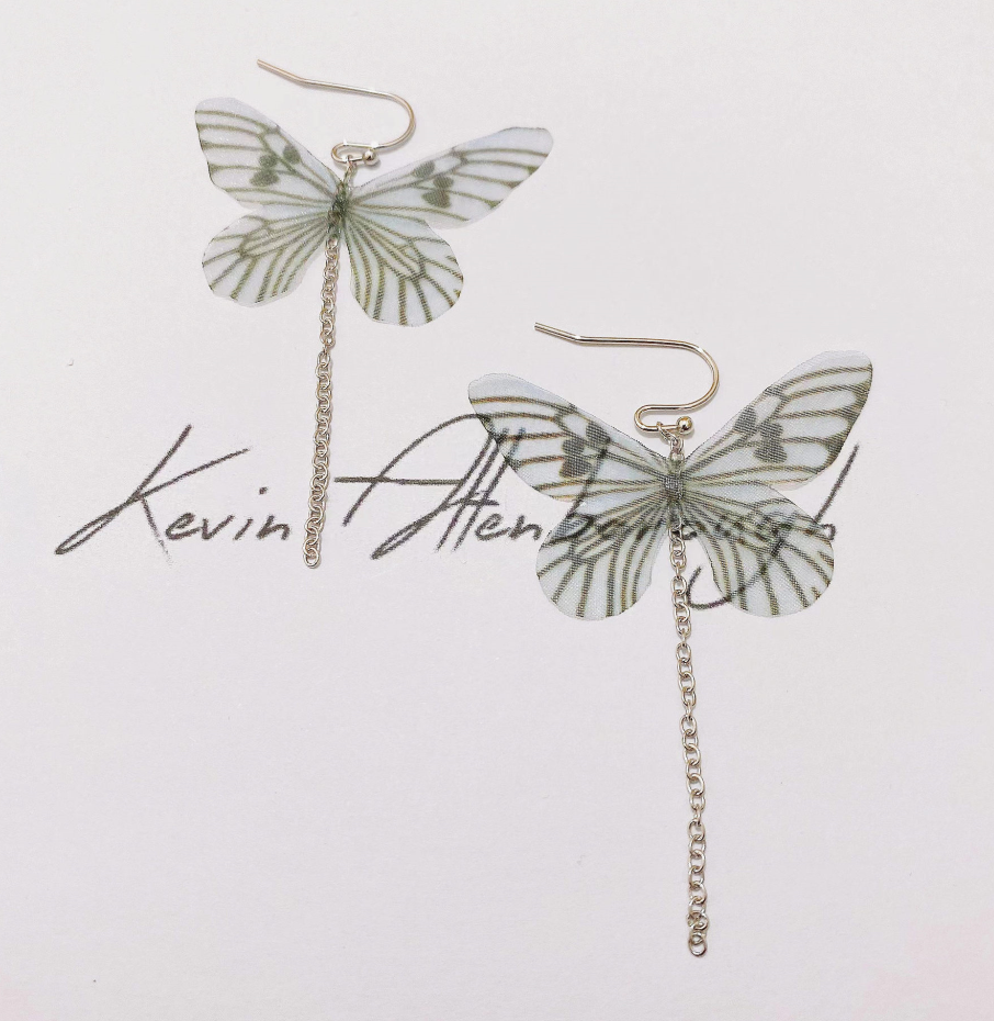 Fashion Butterfly Sterling Silver Earrings 925 Silver Earrings display picture 2