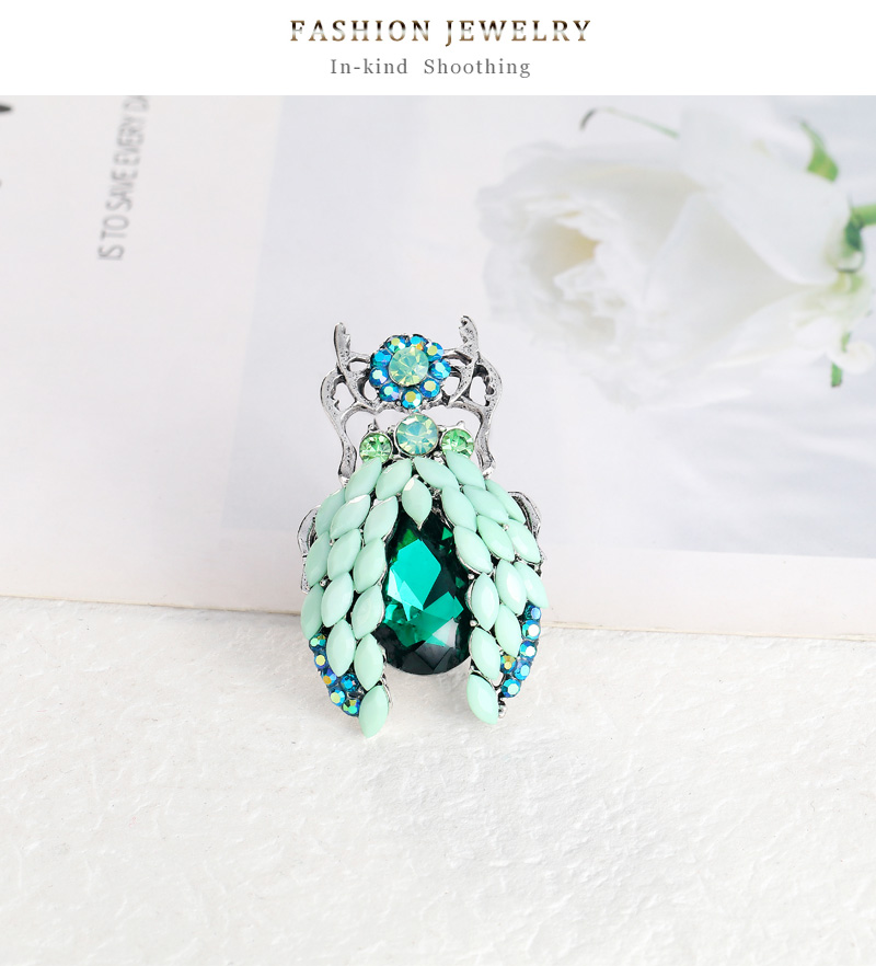 Fashion Insect Alloy Inlay Rhinestone Brooches display picture 8