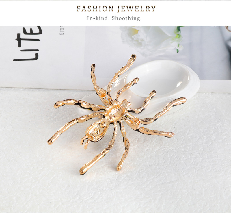 Moda Araña Aleación Embutido Diamante De Imitación Broches display picture 5