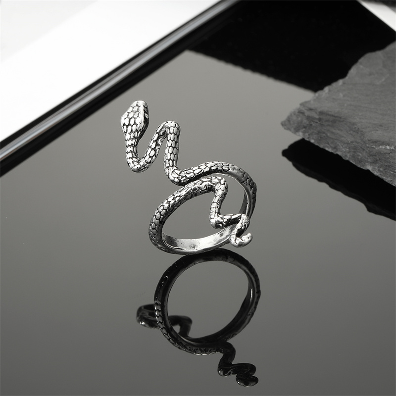 Men's Vintage Style Snake Alloy Rings Rings display picture 2
