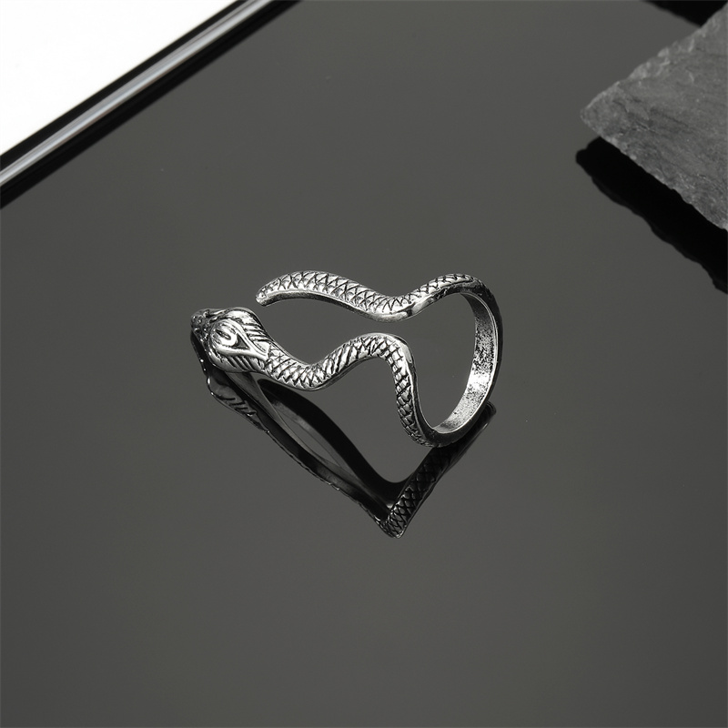 Men's Vintage Style Snake Alloy Rings Rings display picture 1