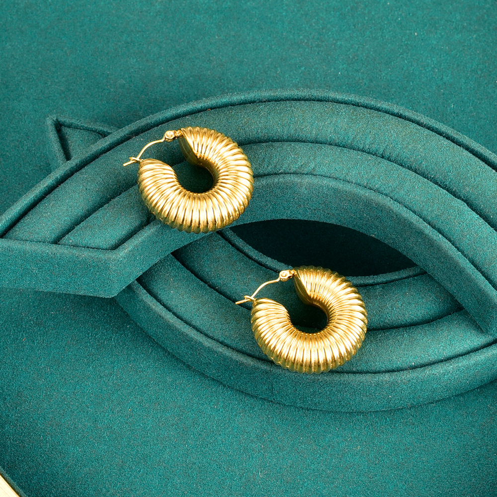 Retro Round Titanium Steel Hoop Earrings Plating Stainless Steel Earrings display picture 6