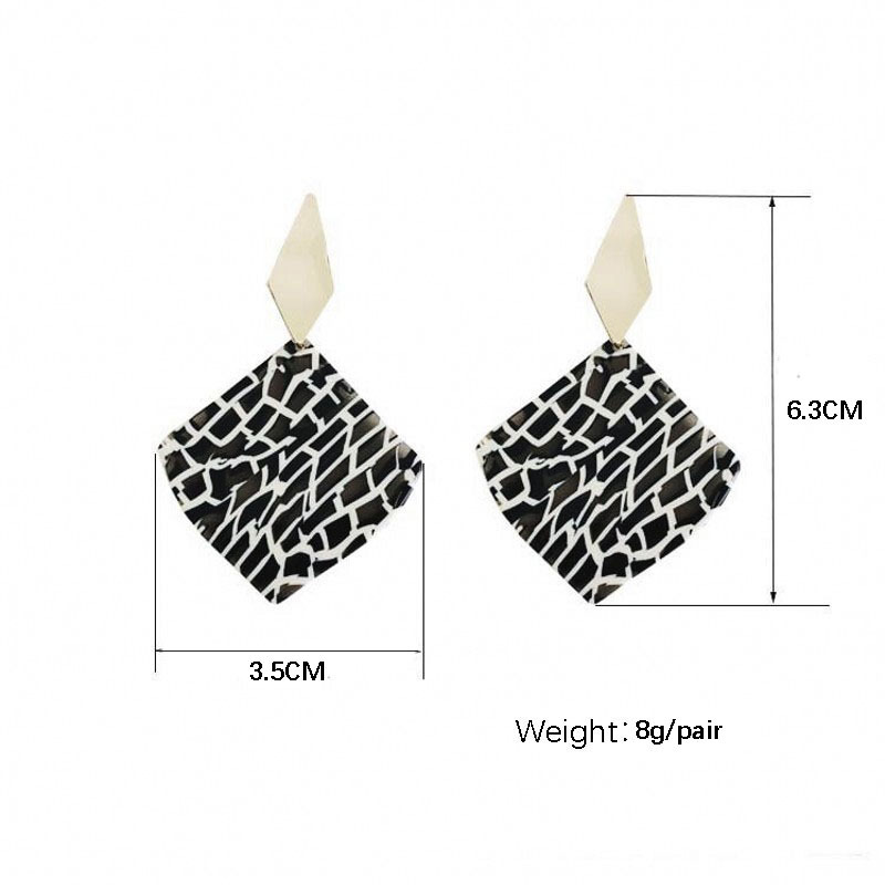 1 Pair Simple Style Rhombus Leopard Painted Arylic Earrings display picture 1