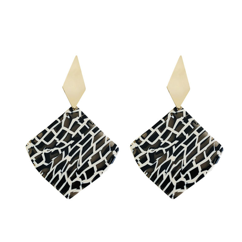 1 Pair Simple Style Rhombus Leopard Painted Arylic Earrings display picture 2
