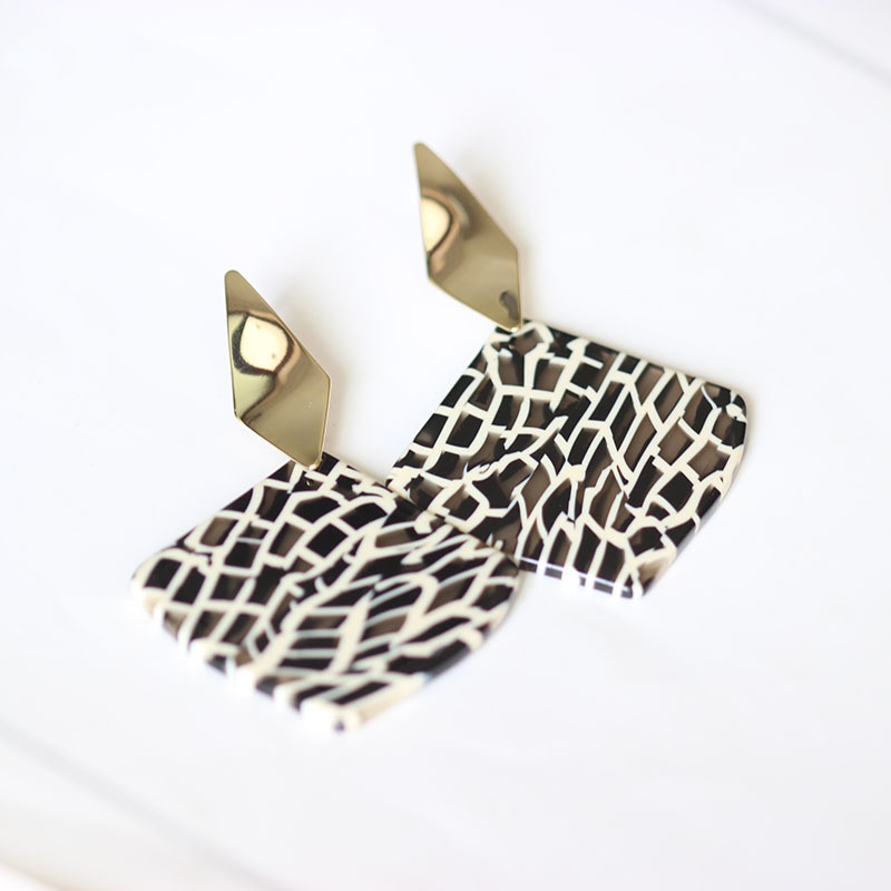 1 Pair Simple Style Rhombus Leopard Painted Arylic Earrings display picture 8