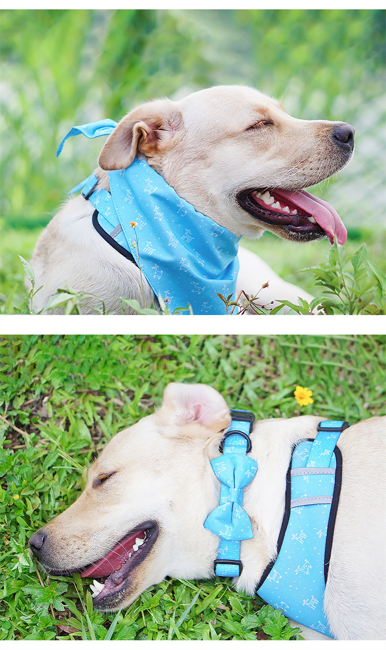 Fashion Printing Set Pet Products Comfortable Polyester Dog Harness Double-sided Printing Dog Breast Strap display picture 3