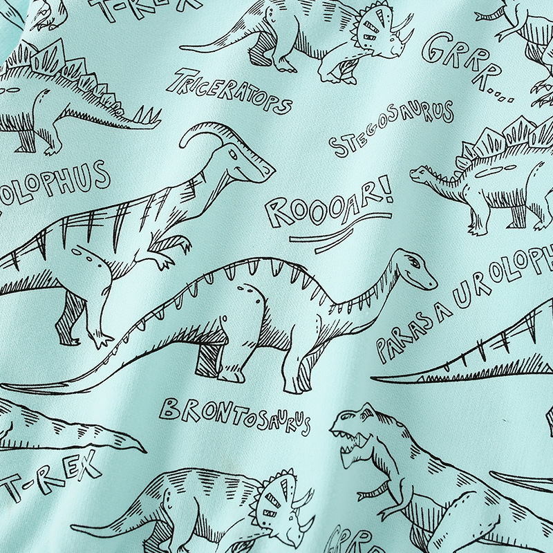 Fashion Dinosaur Cotton Baby Clothes display picture 4