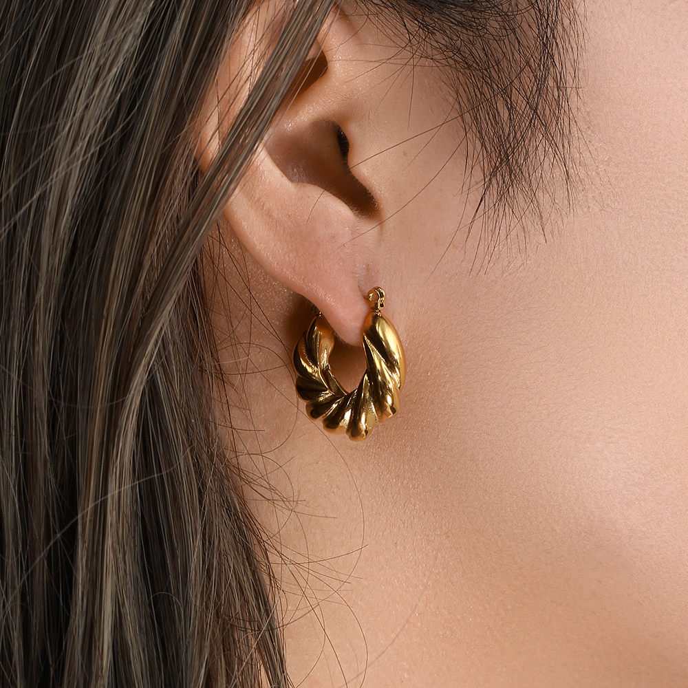 Vintage Style Geometric Stainless Steel Earrings Plating Gold Plated Stainless Steel Earrings display picture 13