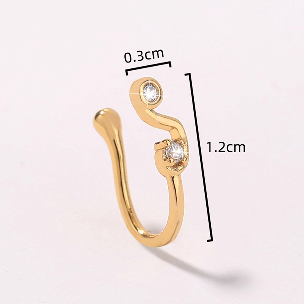 Fashion Flower Copper Inlay Zircon Nose Ring 1 Piece display picture 19