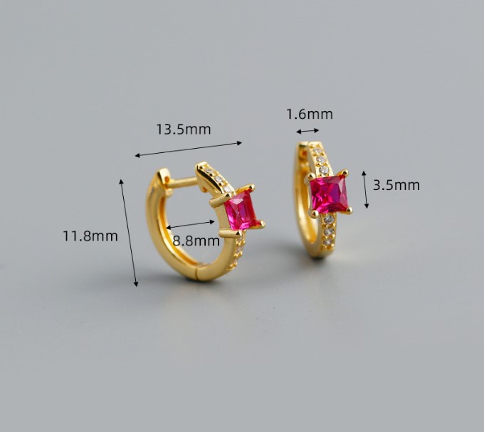Fashion Round Silver Inlay Zircon Earrings 1 Pair display picture 5