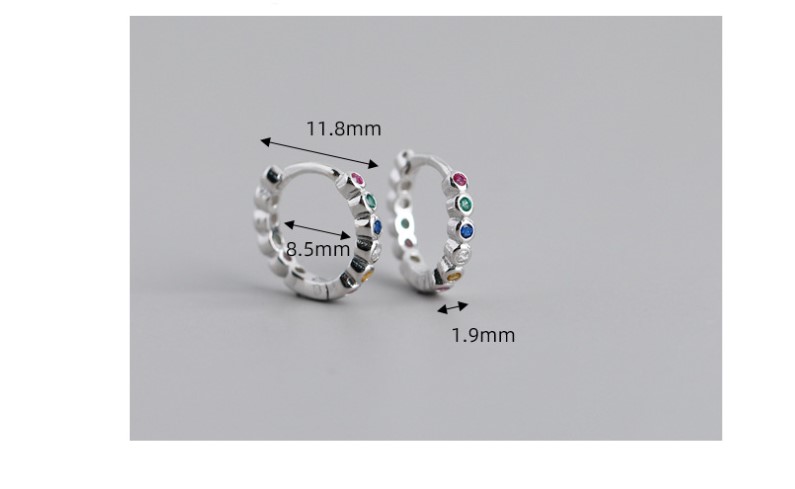 Fashion Round Silver Inlay Zircon Earrings 1 Pair display picture 5