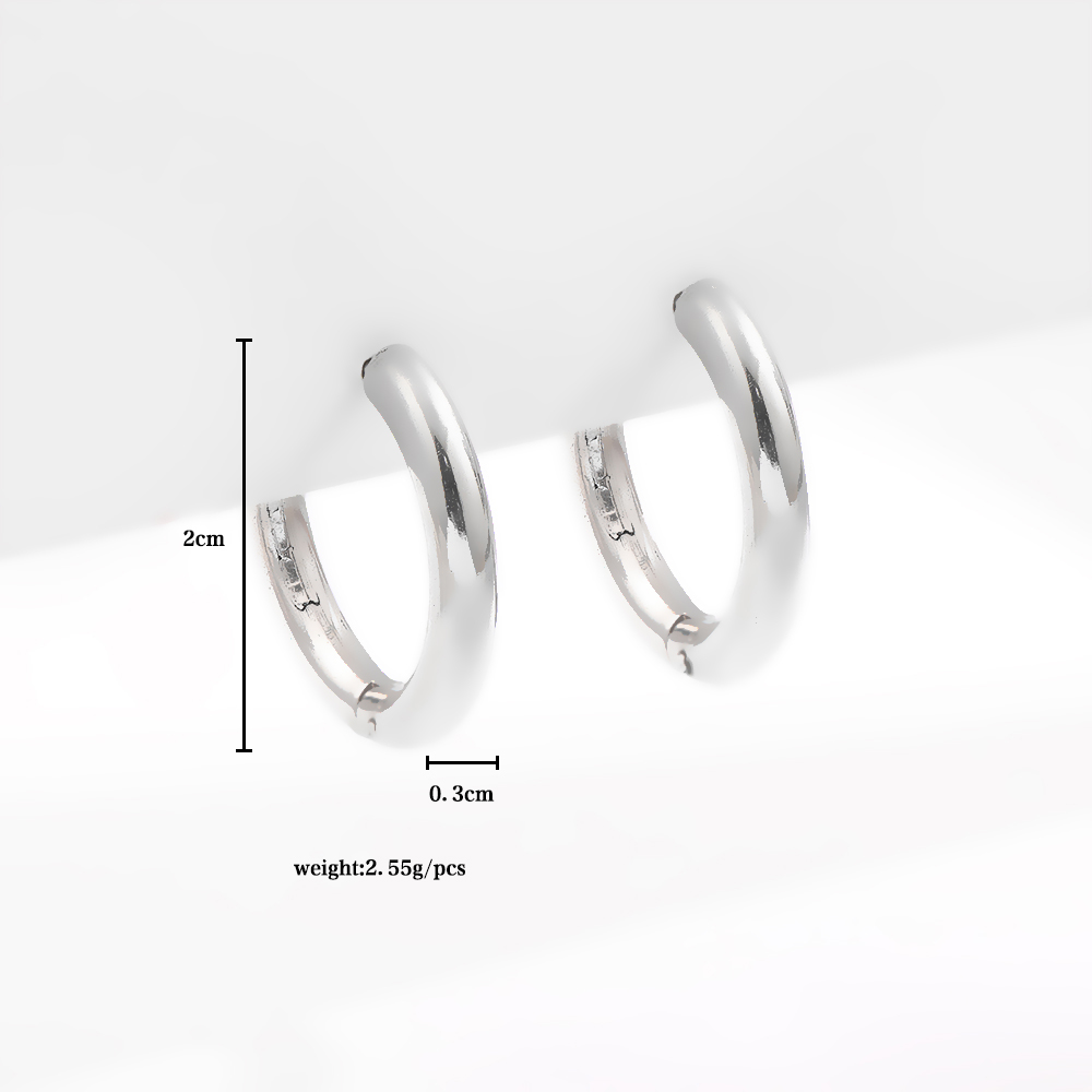 1 Pair Simple Style Circle Plating Stainless Steel Hoop Earrings display picture 17