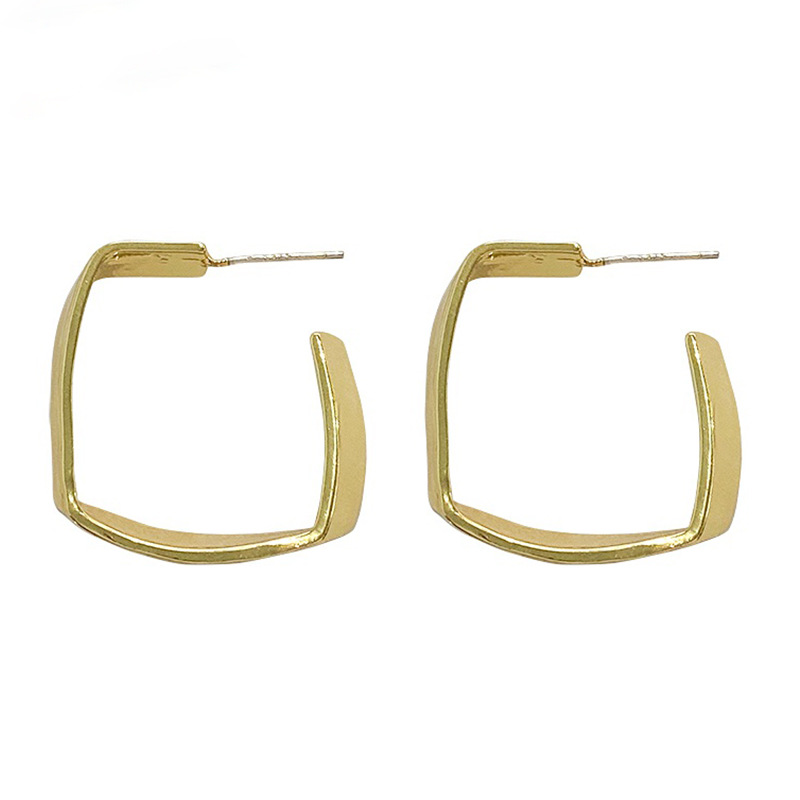 Fashion Geometric Alloy Plating Alloy Women's Earrings 1 Pair display picture 1