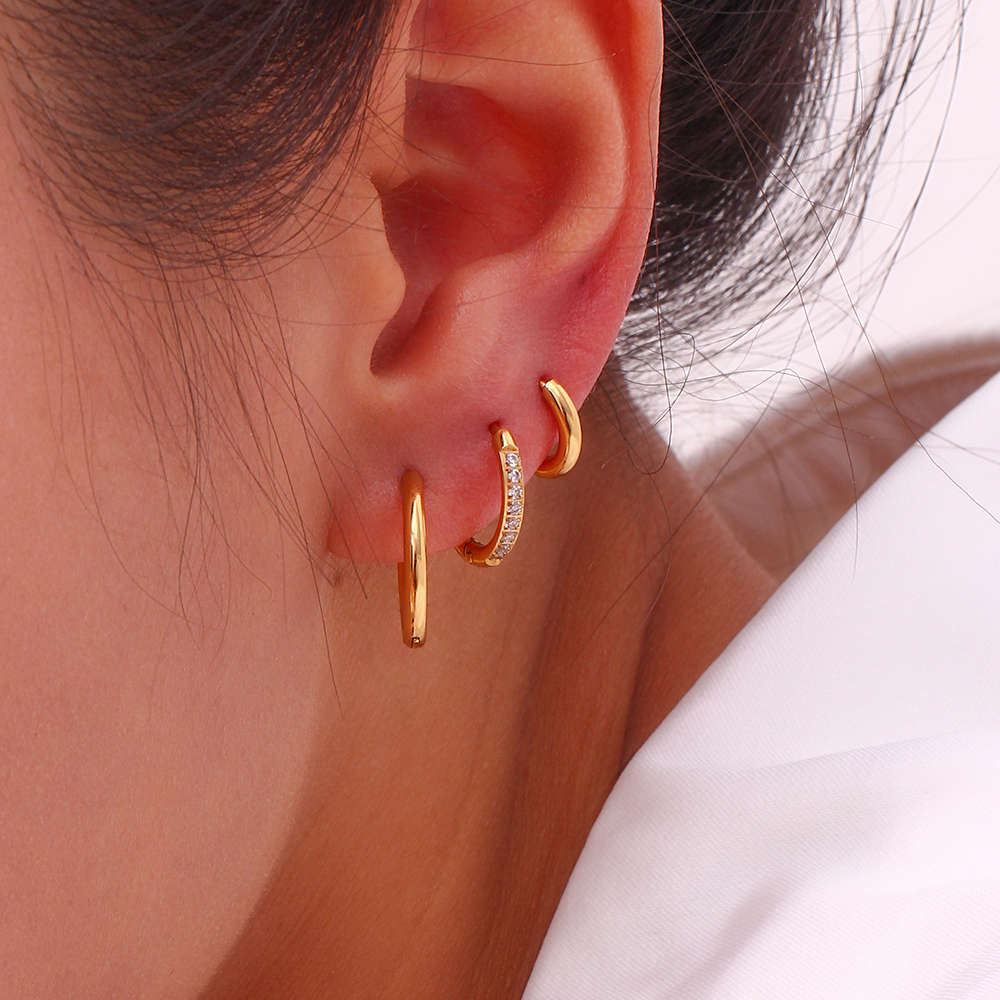 1 Pair Fashion Round Plating Stainless Steel Zircon 18k Gold Plated Earrings display picture 11