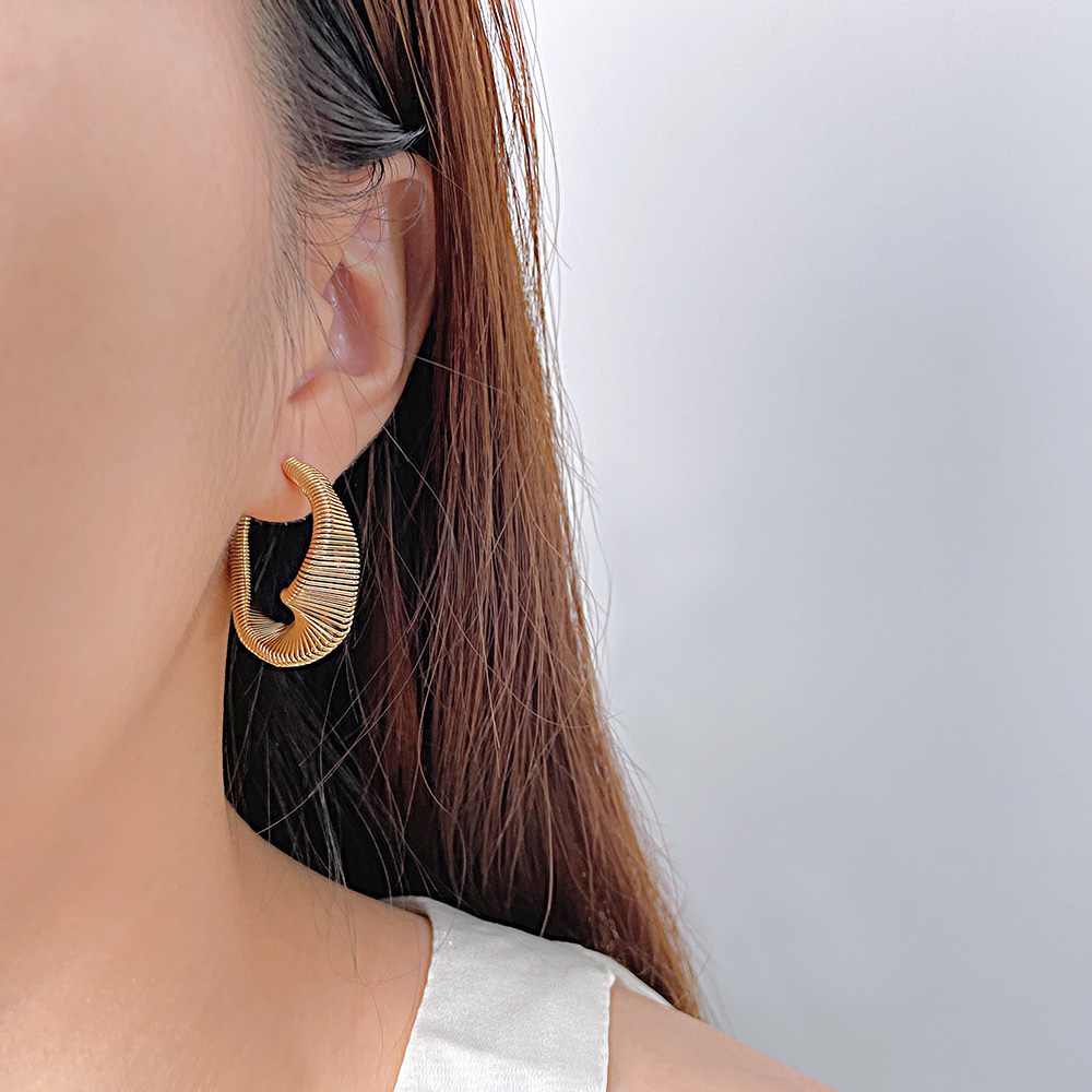 1 Piece Vintage Style Simple Style Irregular Irregular Stainless Steel No Inlay Earrings display picture 10