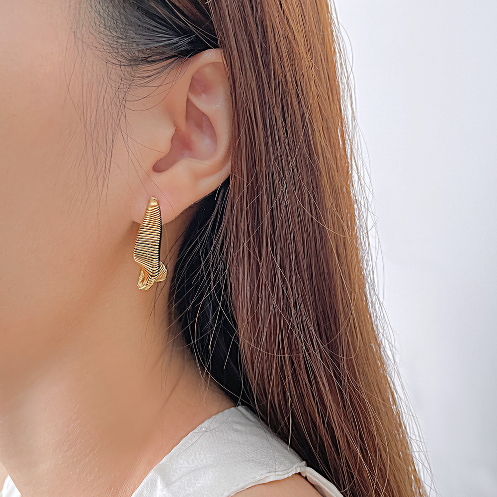 1 Piece Vintage Style Simple Style Irregular Irregular Stainless Steel No Inlay Earrings display picture 8