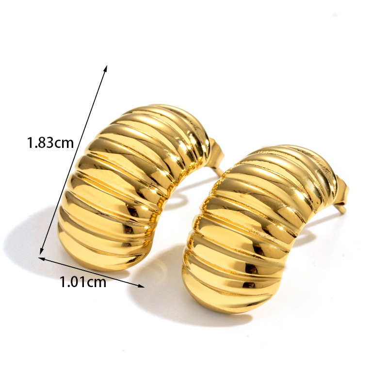 1 Pair Simple Style Spiral Stripe Shell Stainless Steel Ear Studs display picture 2