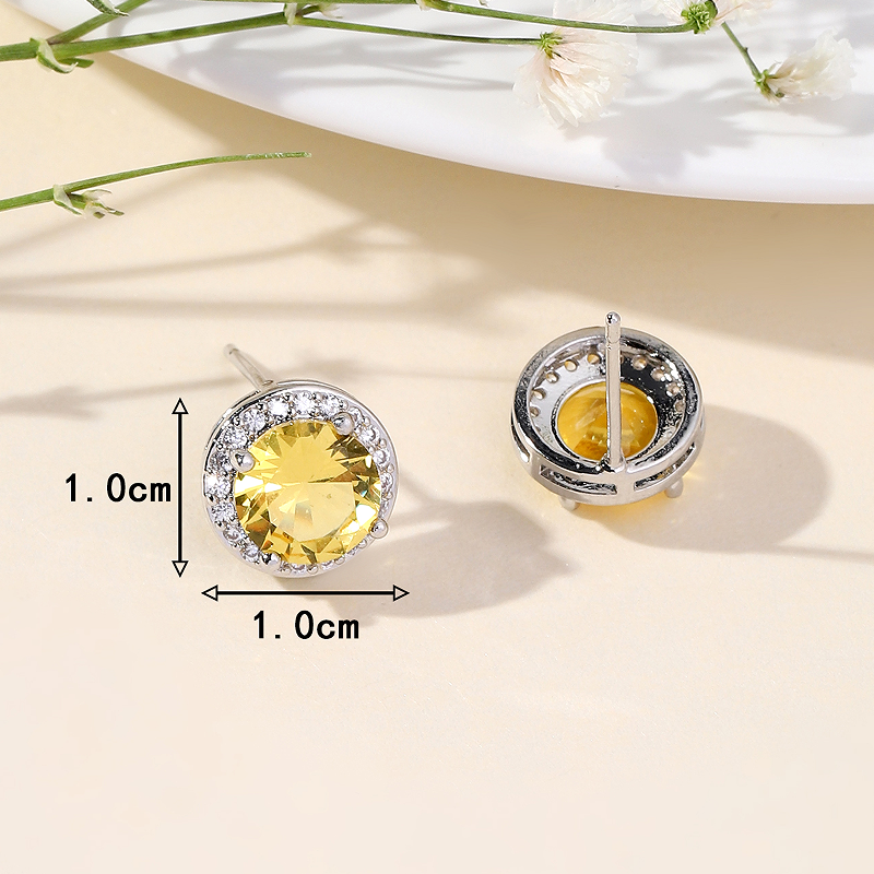 1 Paire Luxueux Sucré Brillant Rond Placage Incruster Le Cuivre Zircon Plaqué Or 18k Boucles D'oreilles display picture 20