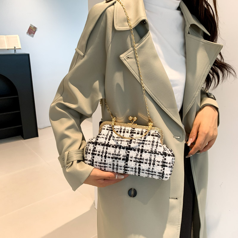 Women's Braid Lattice Streetwear Shell Lock Clasp Shoulder Bag Crossbody Bag display picture 3