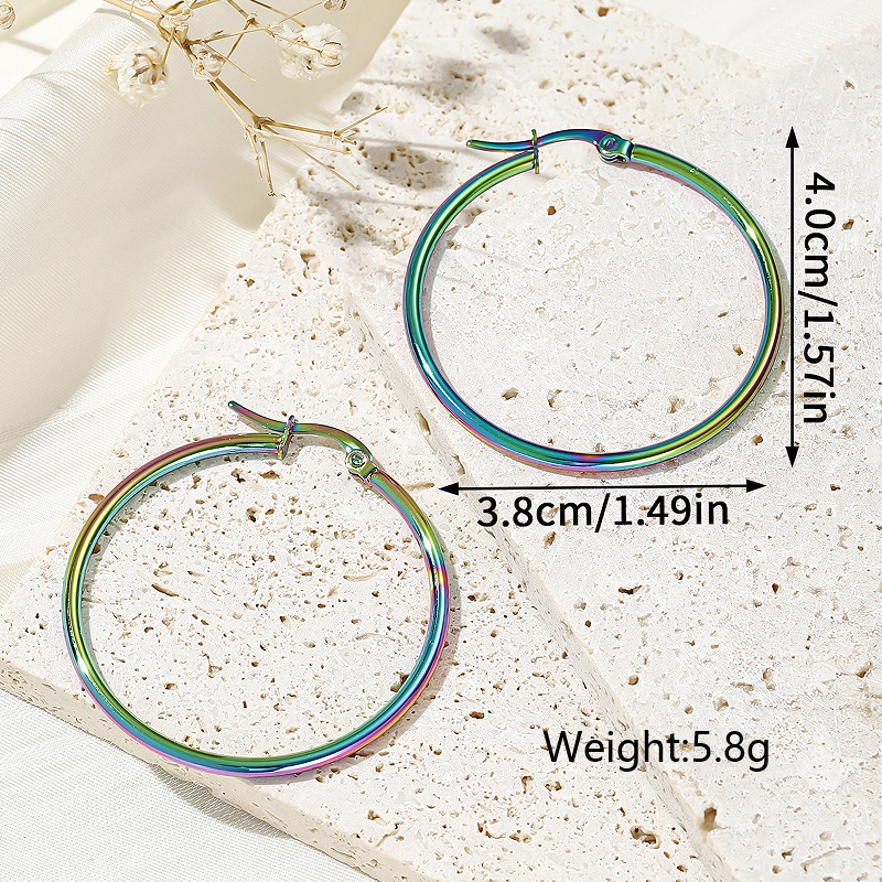 1 Pair Simple Style Artistic Round Plating Stainless Steel Earrings display picture 11