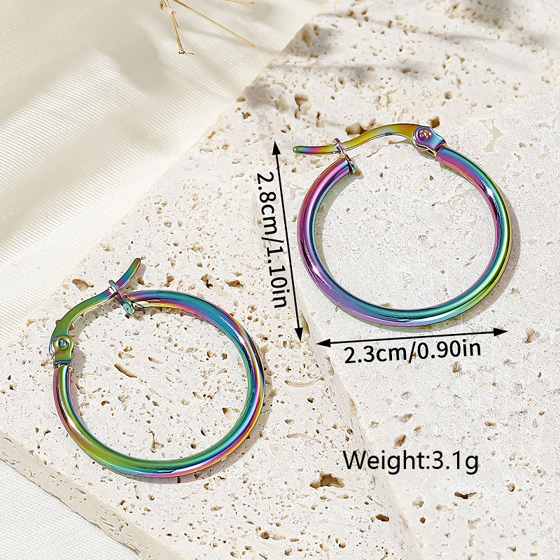 1 Pair Simple Style Artistic Round Plating Stainless Steel Earrings display picture 10