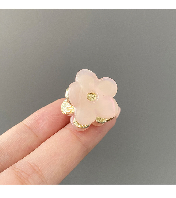 Women's Simple Style Flower Acetic Acid Sheets Hair Claws display picture 3