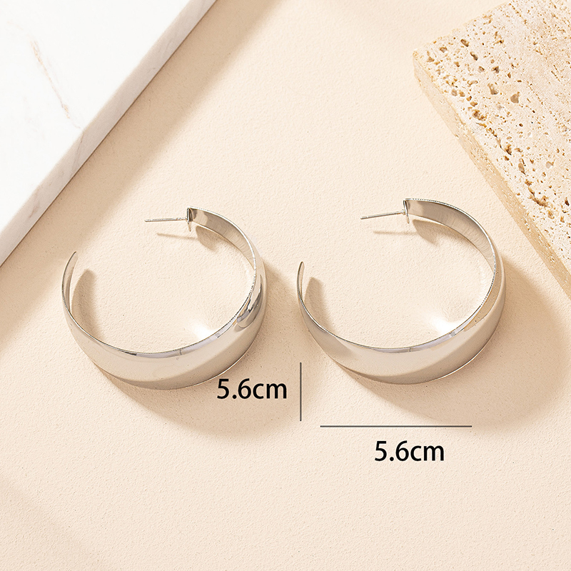 1 Pair Simple Style Solid Color Plating Ferroalloy 14k Gold Plated Hoop Earrings display picture 4