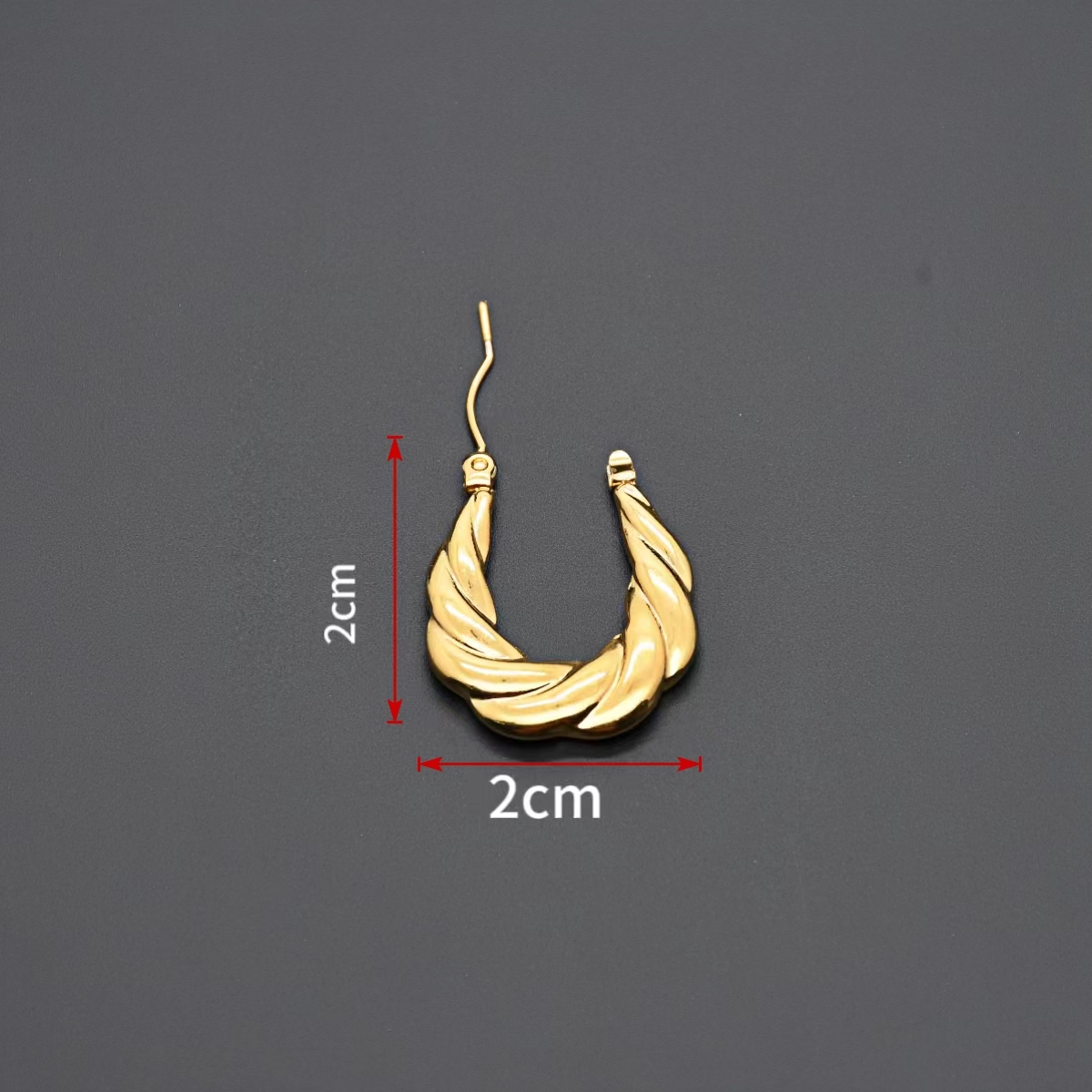 1 Pair Queen Simple Style Geometric Plating Stainless Steel 18k Gold Plated Hoop Earrings display picture 3