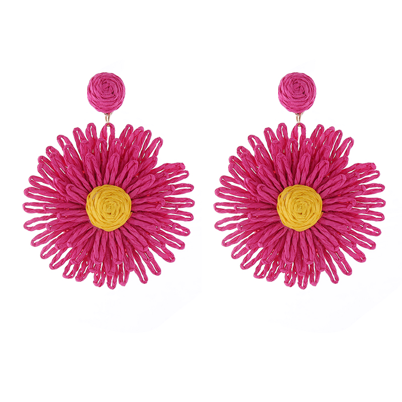 1 Pair Simple Style Round Flower Braid Alloy Raffia Drop Earrings display picture 6