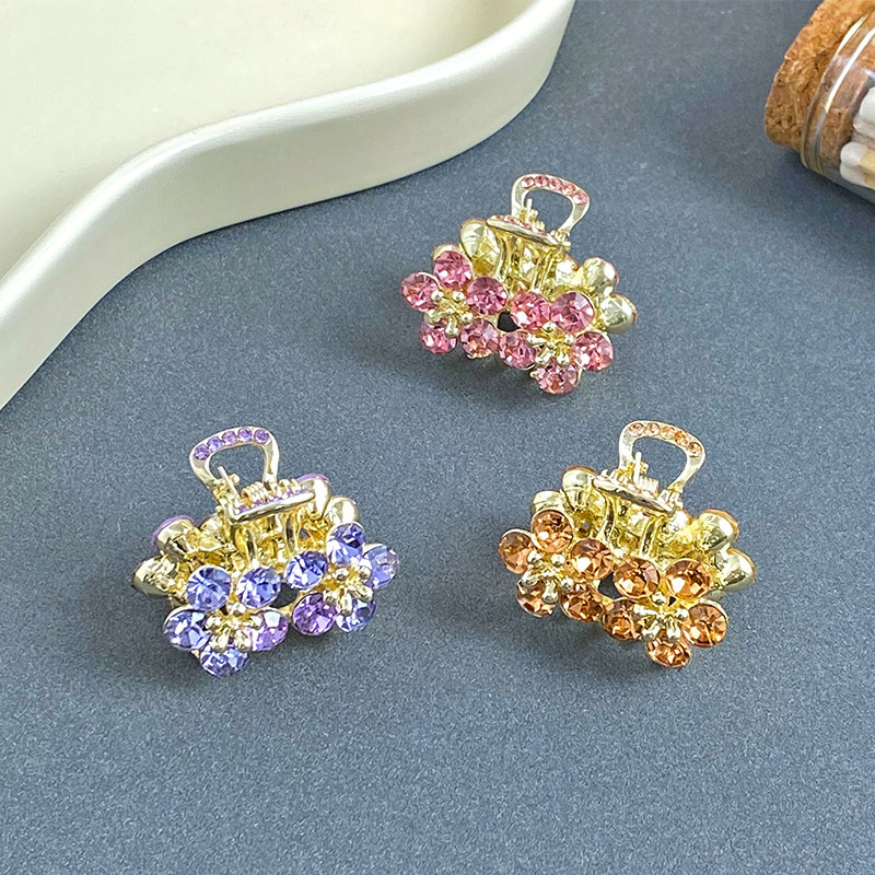Women's Simple Style Commute Flower Alloy Inlay Zircon Hair Claws display picture 4