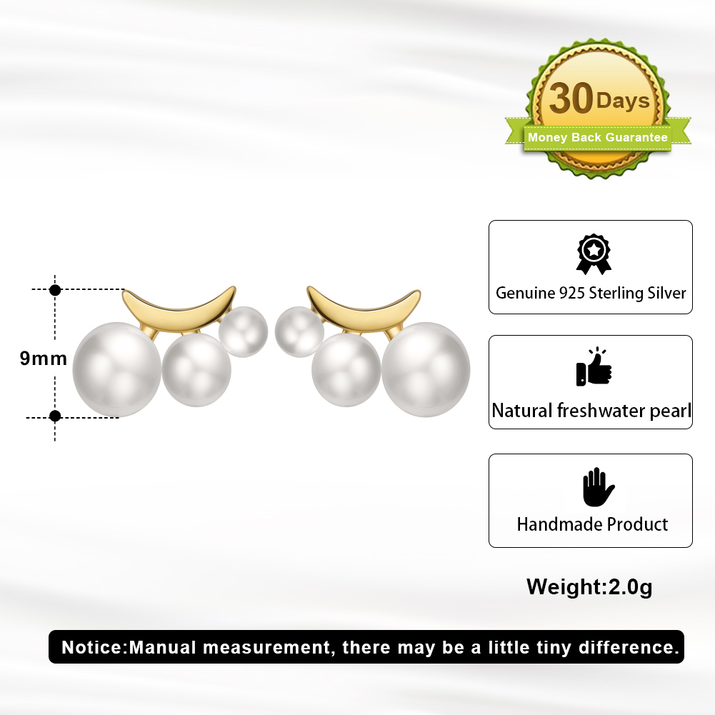 1 Pair Modern Style Simple Style Geometric Polishing Plating Sterling Silver 14k Gold Plated Ear Studs display picture 1