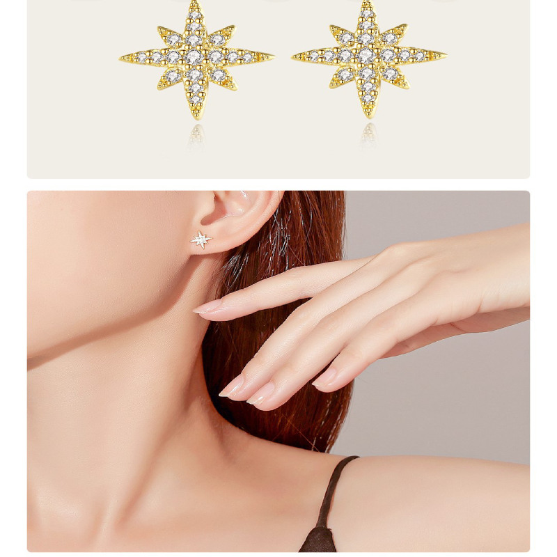 1 Pair Simple Style Constellation Star Plating Inlay Copper Zircon Gold Plated Ear Studs display picture 3