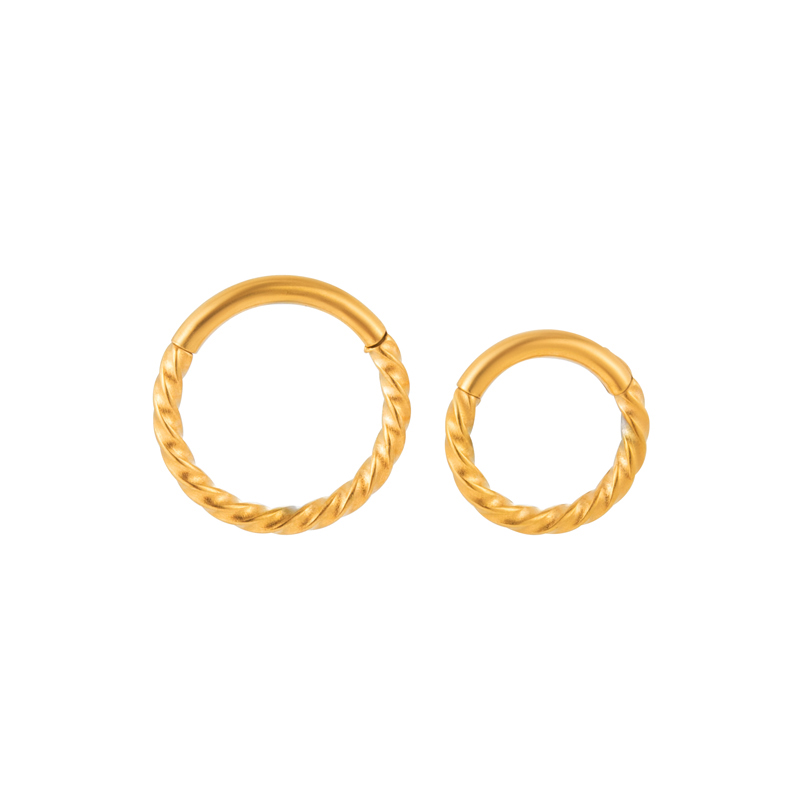 1 Piece Nose Rings & Studs Simple Style Classic Style Circle 316 Stainless Steel  Plating display picture 11