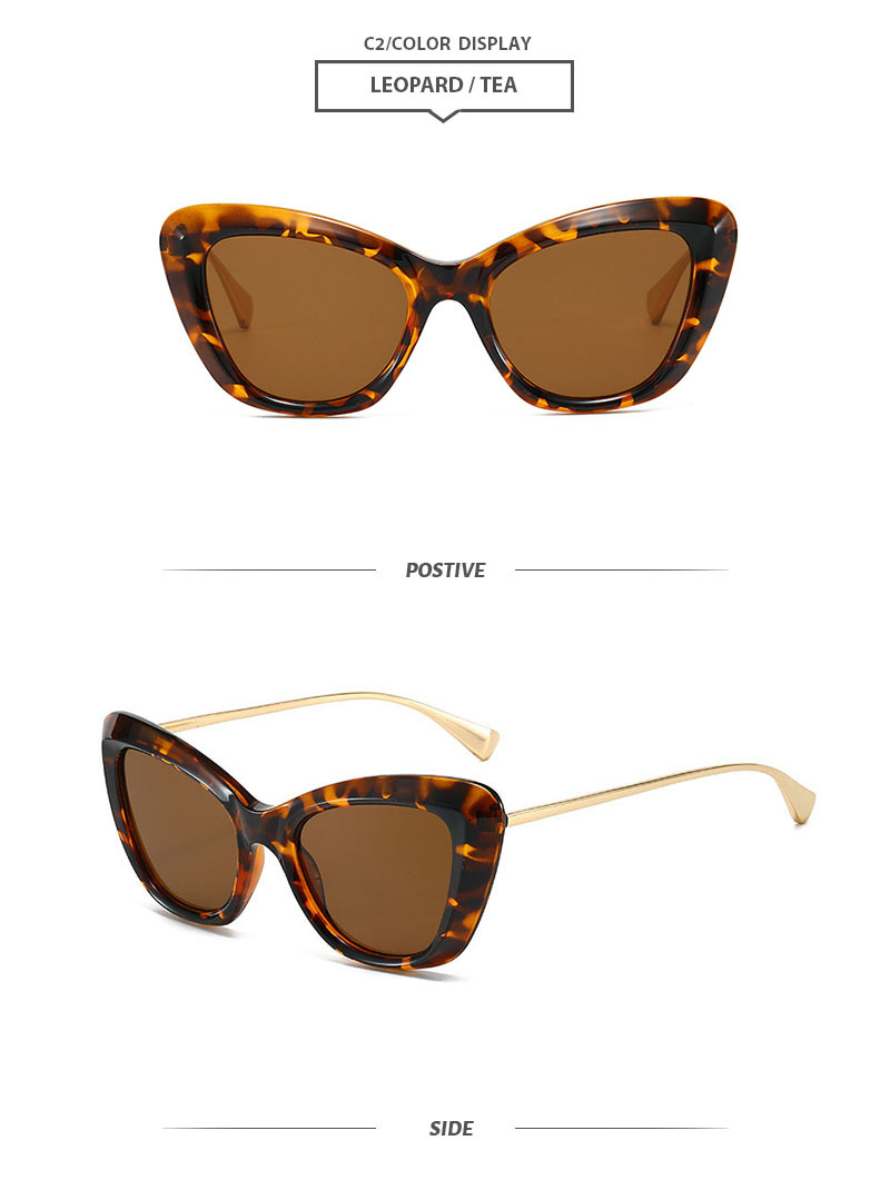 Casual Color Block Pc Cat Eye Full Frame Women's Sunglasses display picture 8