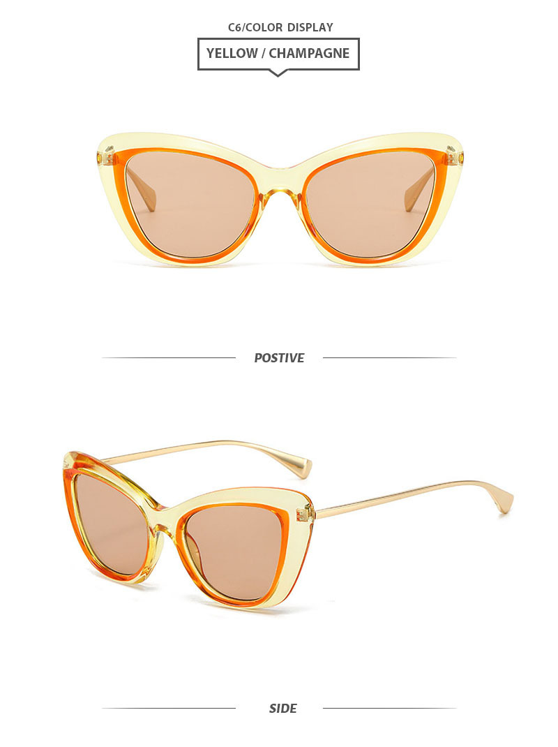 Casual Color Block Pc Cat Eye Full Frame Women's Sunglasses display picture 12