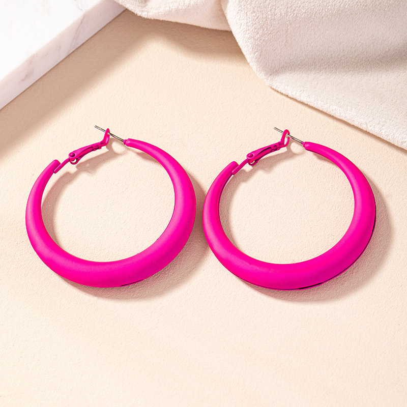 1 Pair Simple Style Commute Round Plating Alloy Gold Plated Hoop Earrings display picture 26