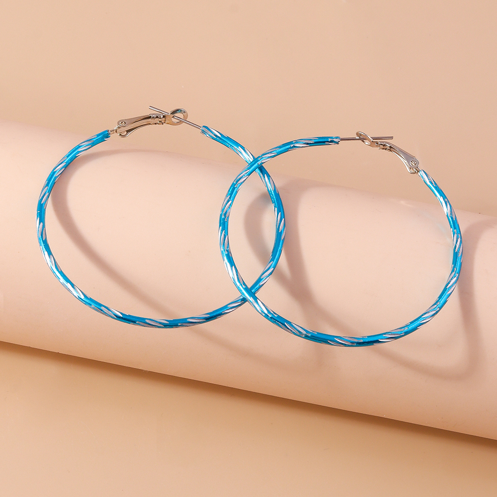 1 Pair Simple Style Circle Alloy Hoop Earrings display picture 10