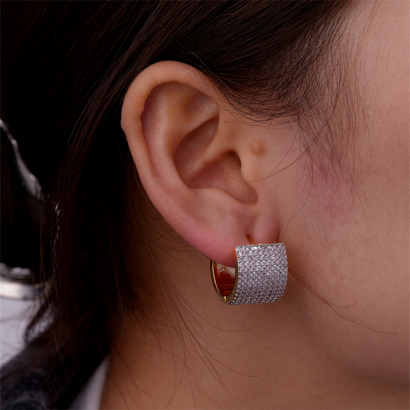 1 Pair Elegant Color Block Plating Inlay Copper Zircon K Gold Plated Earrings display picture 17