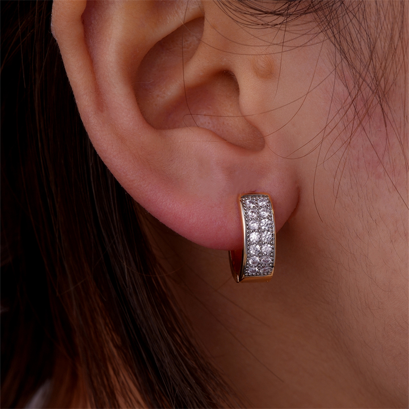 1 Pair Elegant Color Block Plating Inlay Copper Zircon K Gold Plated Earrings display picture 24