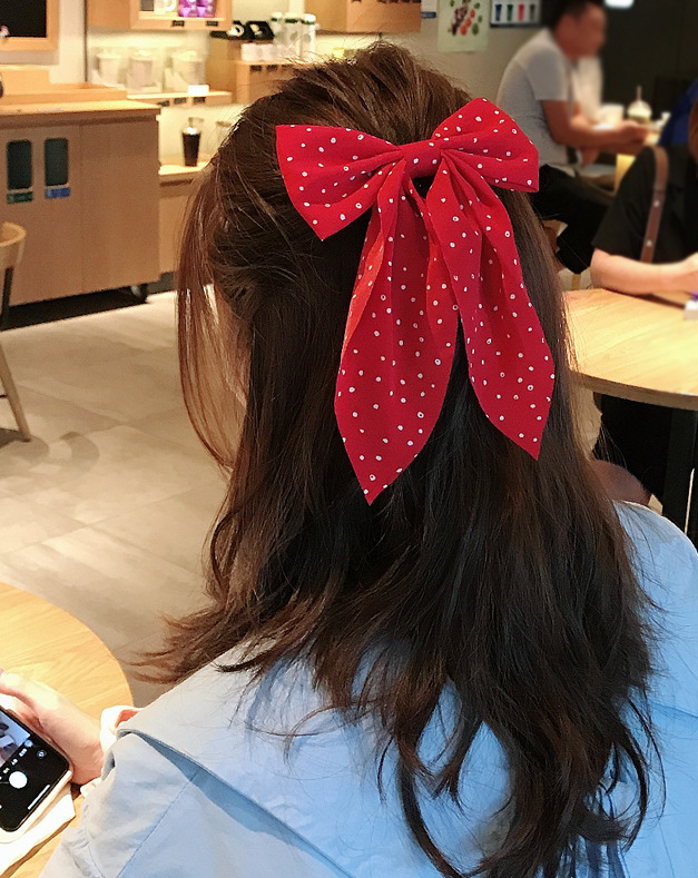 Women's Simple Style Polka Dots Bow Knot Cloth Hair Clip display picture 2