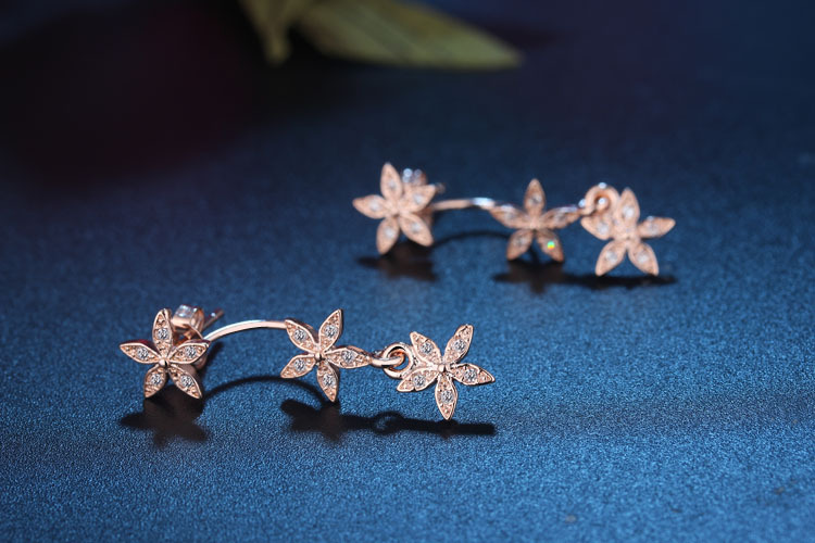 1 Paire Style Simple Style Classique Star Incruster Le Cuivre Zircon Boucles D'Oreilles display picture 2