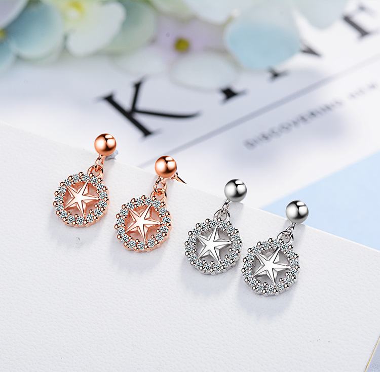 1 Pair Elegant Luxurious Commute Star Plating Inlay Copper Zircon Rose Gold Plated White Gold Plated Drop Earrings display picture 1