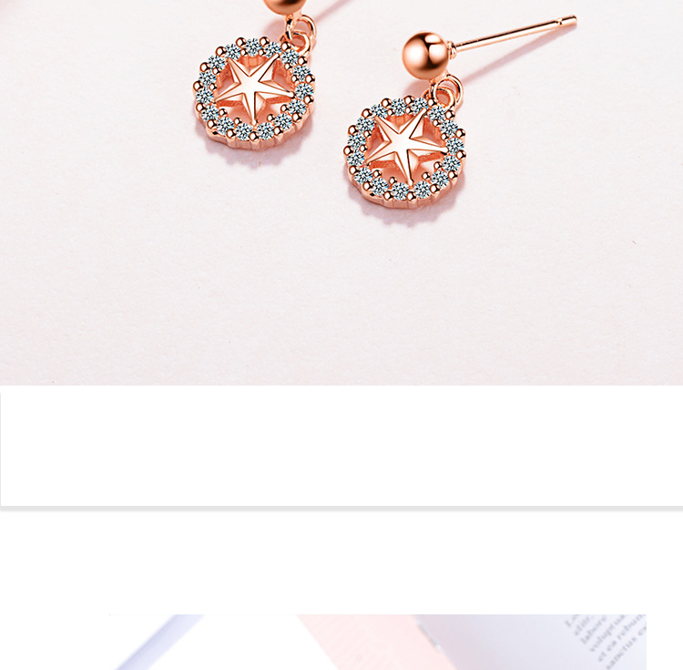 1 Pair Elegant Luxurious Commute Star Plating Inlay Copper Zircon Rose Gold Plated White Gold Plated Drop Earrings display picture 2